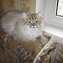 ���� ������. �� �����., ���� - ��������� 5 ������ 2016 � ������ ������ ��������