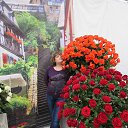 ���� �����, ������, 49 ��� - ��������� 16 ������� 2016 � ������ ���� ����������