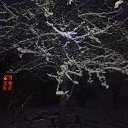 ���� ���������, ������, 54 ���� - ��������� 7 ������� 2015 � ������ ���� ����������