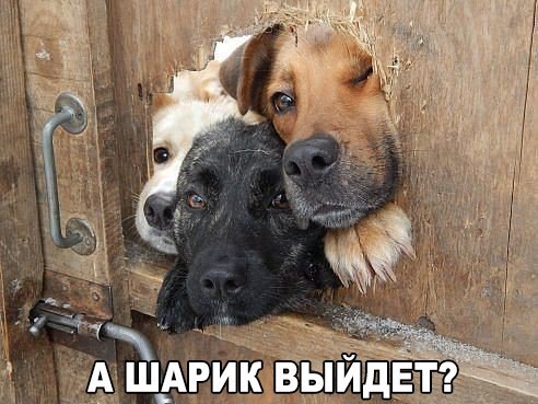 -  - 22  2016  18:04