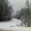 ���� ��������, �������� - ��������� 20 ������ 2015 � ������ ���� ��