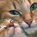 ���� �����, ������ - ��������� 9 ������� 2016 � ������ ������ ��������