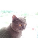 ���� ����, ��������, 50 ��� - ��������� 16 ������� 2016