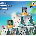 ���� ����, ������ - ��������� 22 ������ 2016 � ������ �������� �������-�������