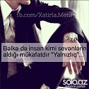 ���� �����, ����, 40 ��� - ��������� 5 ������ 2015 � ������ ���� ����������