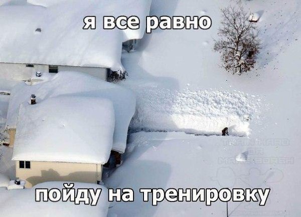   - 20  2015  18:06