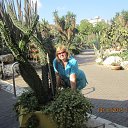 ���� �������, ��������� - ��������� 27 ������ 2015 � ������ ���� ����������