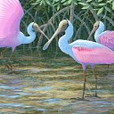  ••,  -  28  2015   