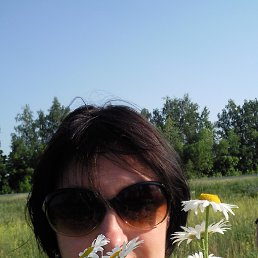 ���� �����, ��������, 59 ��� - ��������� 1 ������ 2016