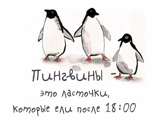    |   - 25  2015  19:02