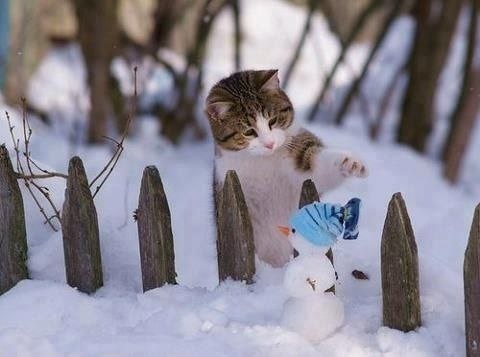      ! - 4