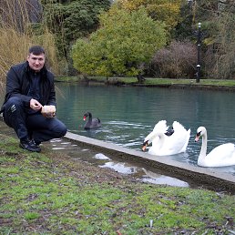 ���� ����, ������-��-����, 44 ���� - ��������� 27 ������� 2016