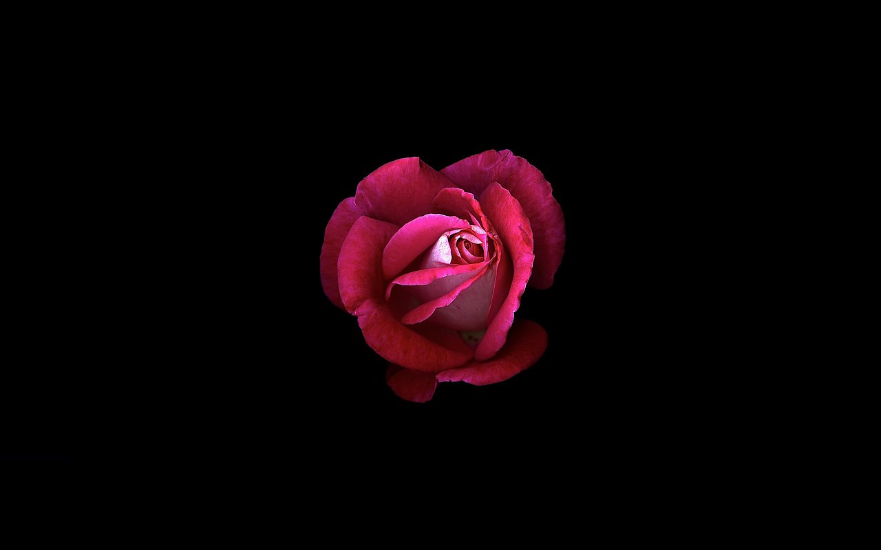    - 26  2015  13:30 - 15