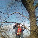 ���� ����, ��������� - ��������� 18 ������ 2015 � ������ ���� ����������