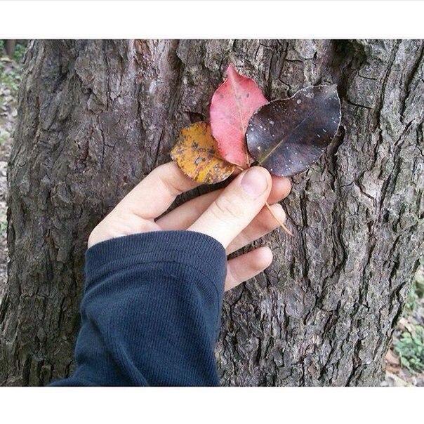 Тишина - лучший друг. Проверенный. Ей от тебя ничего не нужно. Она просто сидит рядом и не мешает.