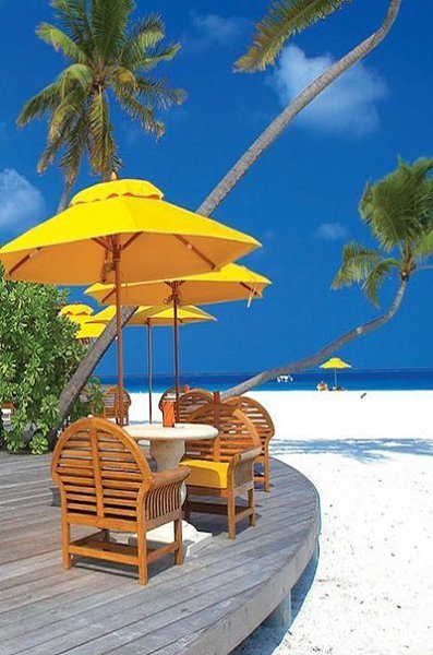 �������� - 4