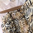 ���� �������, �����-���������, 59 ��� - ��������� 26 ������� 2016 � ������ ����