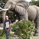 ���� ������, ����, 48 ��� - ��������� 10 ������ 2016 � ������ ������ ���-����������