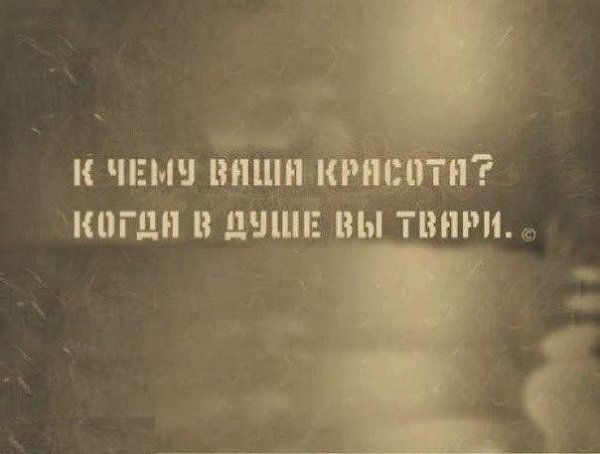 ) - 15  2015  23:01