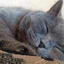 ���� �������, ������ - ��������� 10 ������ 2016 � ������ ���� ����������