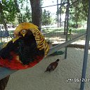 ���� Viktor, ������ - ��������� 20 ������� 2016 � ������ ������ ��������