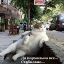 ���� �����, �����-��������� - ��������� 4 ������ 2015 � ������ ������ ��������