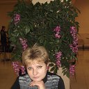 ���� ����, �������, 64 ���� - ��������� 3 ������ 2016 � ������ ���� ����������