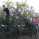 ���� �����, ����������� - ��������� 5 ������ 2016 � ������ ���� ����������