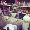 ���� Vladimir, ������, 55 ��� - ��������� 31 ������ 2016 � ������ �Cover Photos�