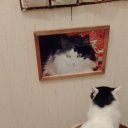 ������ �� ��������� ����� � ����� �� ������������ ������ �� ������� ������ ��������
