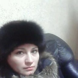 ���� ����, ������������, 41 ��� - ��������� 14 ������ 2016