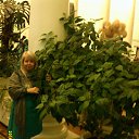 ���� ��������, �������� - ��������� 20 ������ 2015 � ������ ���� ��