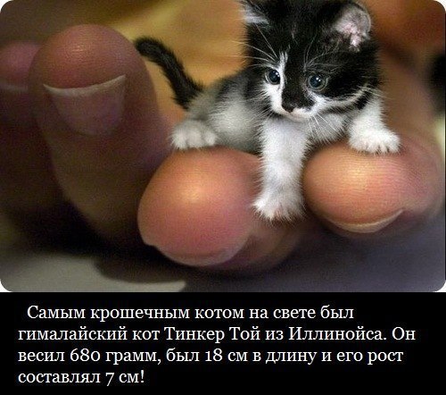 ��!!! ��� �� �������� � ��������?