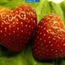 ���� ������, ������� - ��������� 17 ������ 2016 � ������ ���� ����������