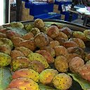 ���� ��������, ������ - ��������� 4 ������� 2015 � ������ �������� 2014�