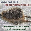 ���� ������, ��������, 63 ���� - ��������� 29 ������ 2015 � ������ ������ ��������