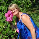 ���� �������, ����, 54 ���� - ��������� 7 ������ 2015 � ������ ��. ���� 2015�