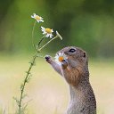 ���� �����, ��� - ��������� 27 ������ 2016 � ������ ������ ��������