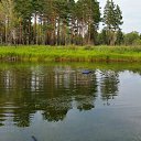 ��� ����� ���� � ���.. �������! �� ������� ���� ����������