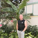 ���� ������, ���������� - ��������� 5 ������� 2016 � ������ ���� ����������