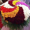 ���� *Ni��*, ������ - ��������� 26 ������ 2016 � ������ ���� ����������