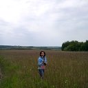 ���� �����, ����, 42 ���� - ��������� 27 ������� 2016 � ������ ���� ����������