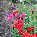 ���� �����, ������ - ��������� 1 ����� 2016 � ������ ���� ����������