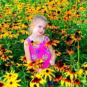 ���� ��������, ��������� - ��������� 12 ������� 2015 � ������ ���� ����������