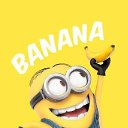 ���� �����, ������, 40 ��� - ��������� 10 ������ 2016 � ������ ���� ����������
