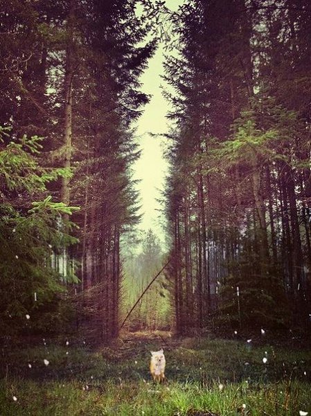 ����� ������� - 24 ������� 2015 � 22:16 - 3