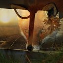 ���� ������, ������� - ��������� 25 ������� 2015 � ������ ������ ��������