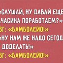 ���� �����, �������, 44 ���� - ��������� 8 ������� 2015 � ������ ������ ��������