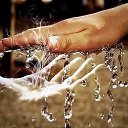 ���� �������, �������, 42 ���� - ��������� 13 ������� 2015 � ������ ������ ��������