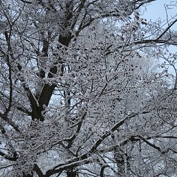 ���� �����, �����-��������� - ��������� 30 ������ 2016